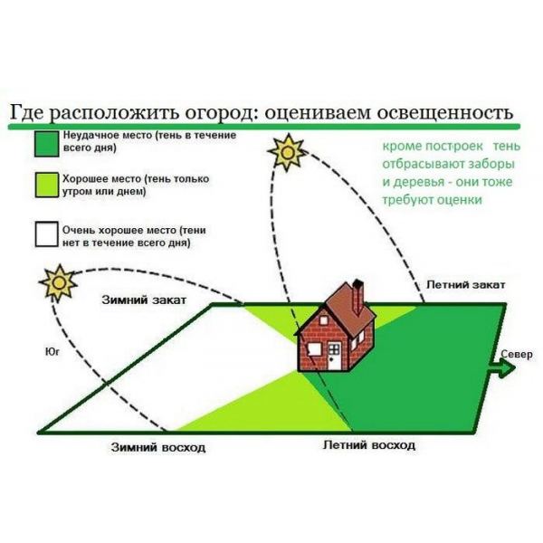 Как правильно выбрать место для установки теплицы