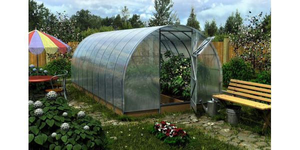 Теплица и автоматизация технологии 2025