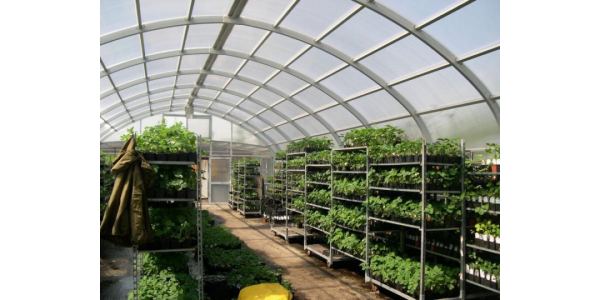 Теплица и урожайность реальные кейсы